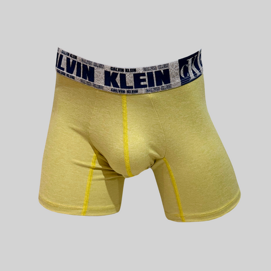 Boxer Calvin Klein